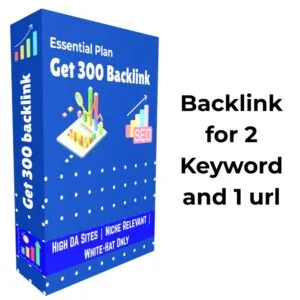 Buy 300 High Quality Backlinks